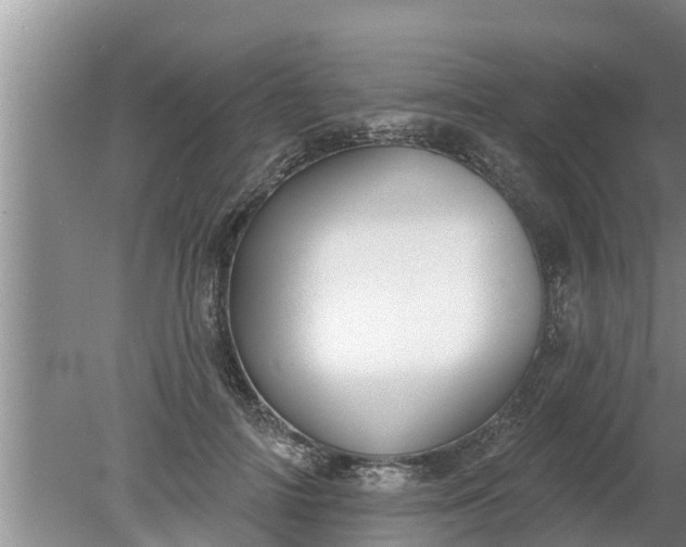 X0000080150698200612221949