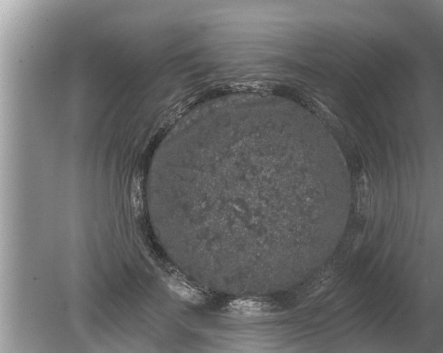 X0000080150699200612221949