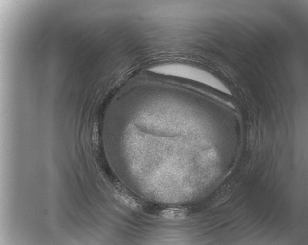 X0000080150700200612221949