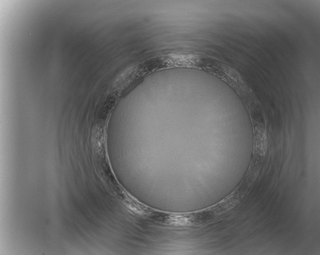 X0000080150701200612221949