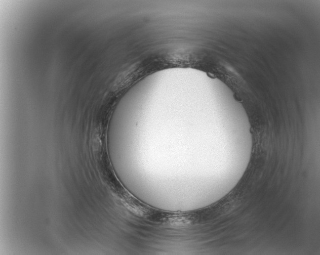 X0000080150702200612221949