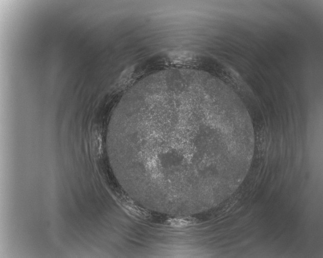 X0000080150703200612221949