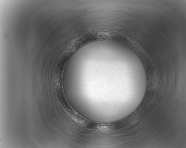 X0000080150706200612221949