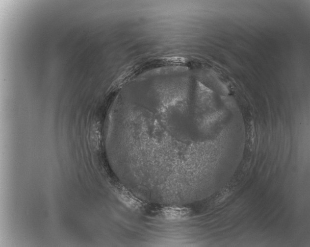 X0000080150707200612221949