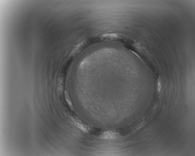 X0000080150708200612221949