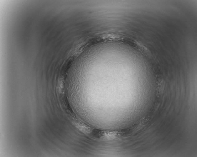 X0000080150709200612221949