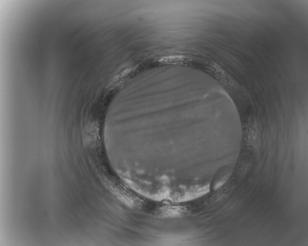 X0000080150711200612221949