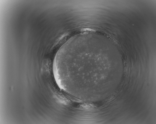 X0000080150712200612221949