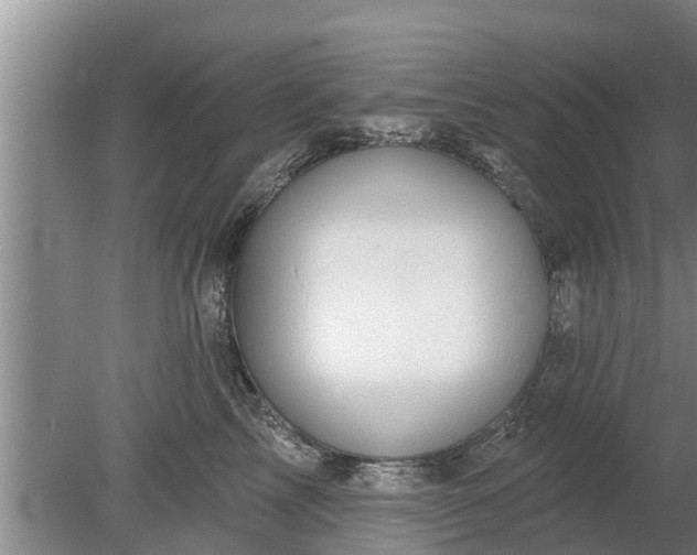 X0000080150713200612221949