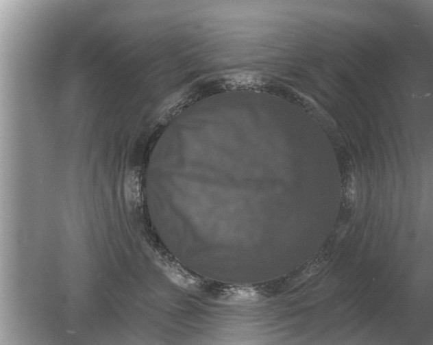 X0000080150715200612221949