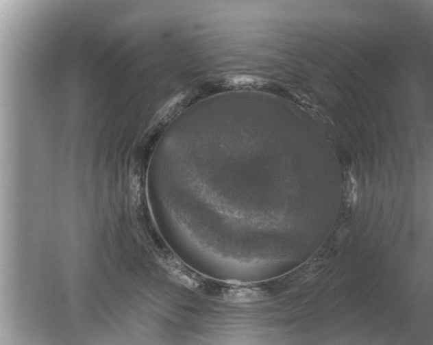 X0000080150716200612221949