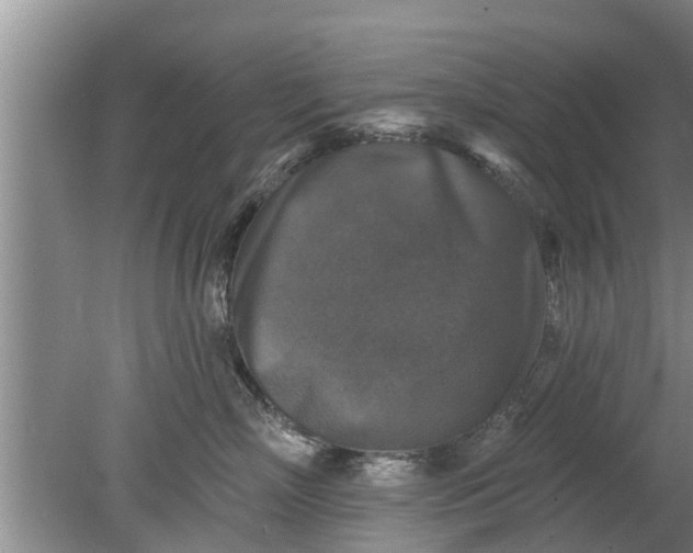 X0000080150718200612221949