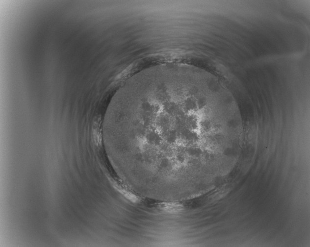 X0000080150719200612221949