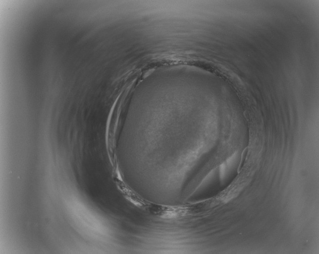 X0000080150720200612221949