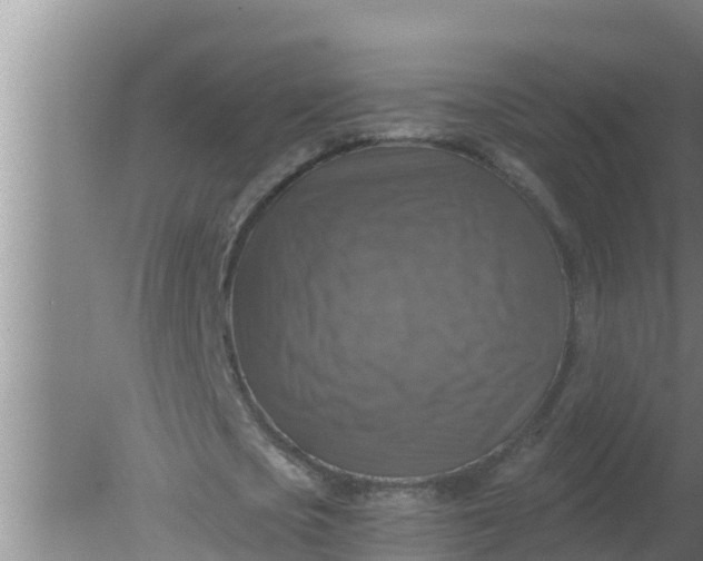 X0000080150721200612221948