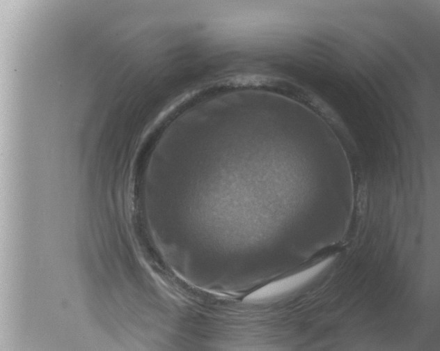 X0000080150722200612221948