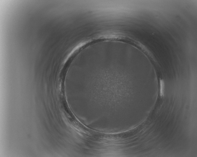 X0000080150723200612221948