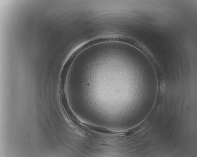 X0000080150724200612221948