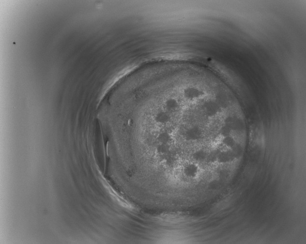 X0000080150725200612221948