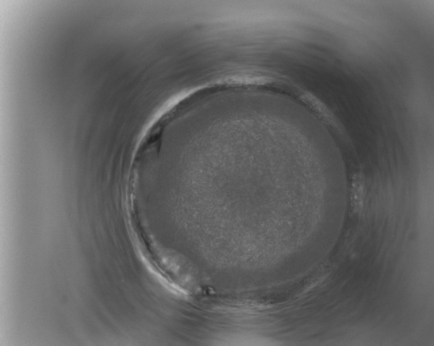 X0000080150726200612221948