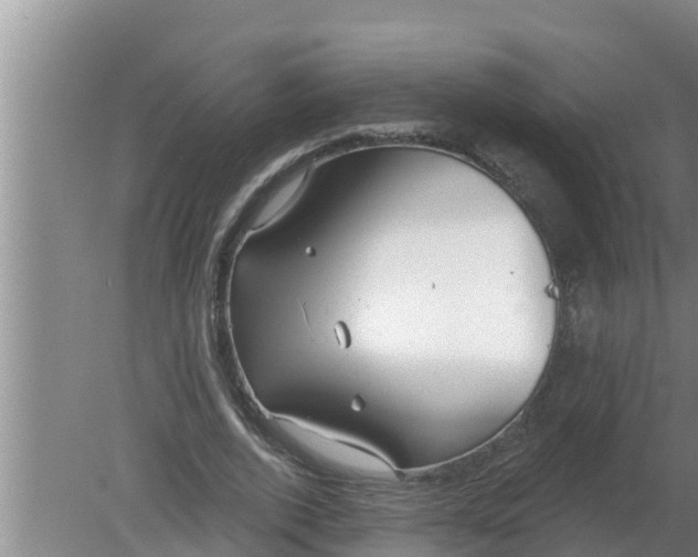 X0000080150728200612221948