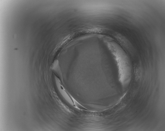 X0000080150729200612221948