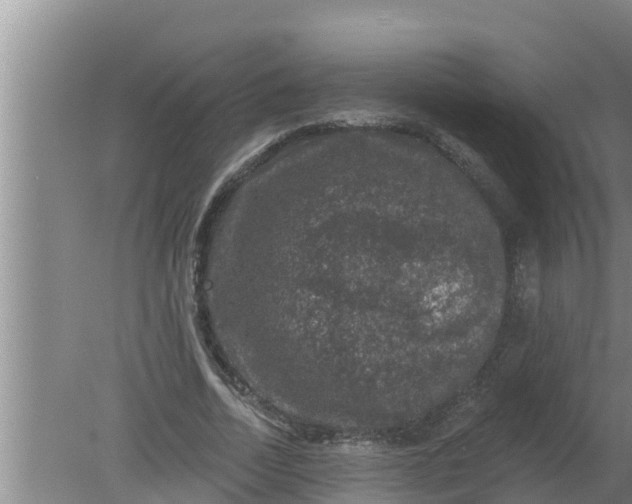 X0000080150730200612221948