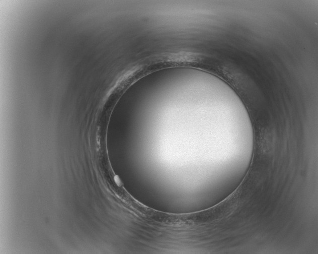 X0000080150731200612221948