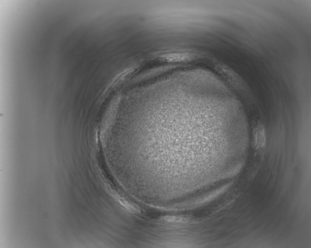 X0000080150733200612221948