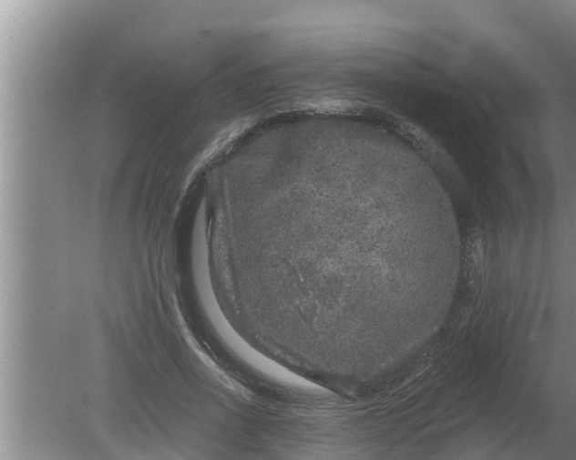 X0000080150734200612221948