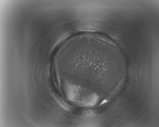 X0000080150735200612221948