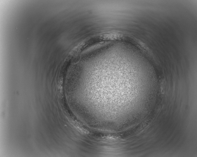 X0000080150737200612221948