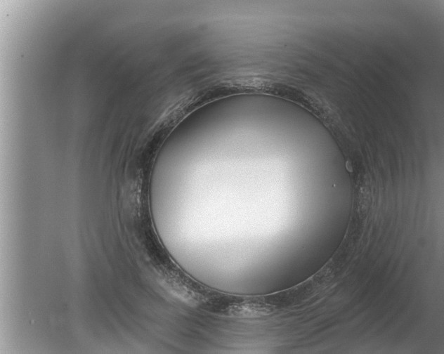 X0000080150739200612221948