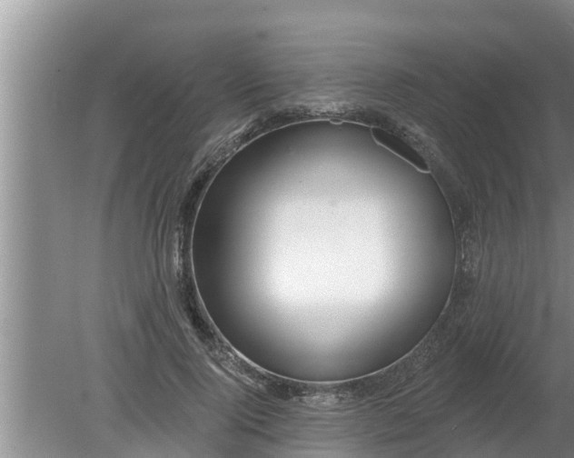 X0000080150740200612221948