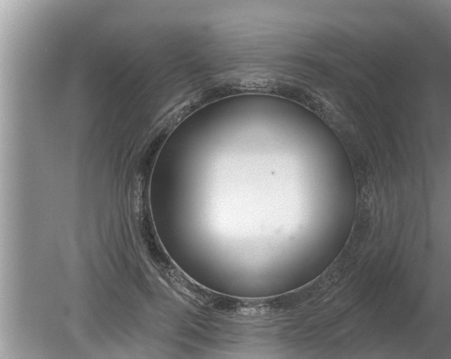 X0000080150744200612221948