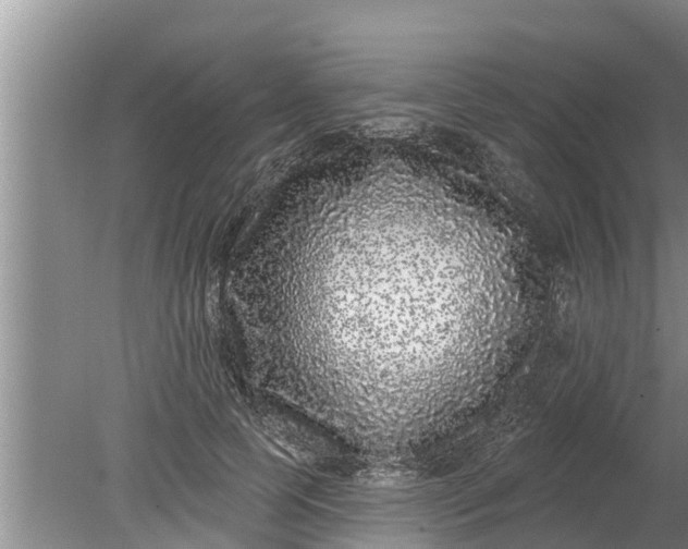 X0000080150745200612221948