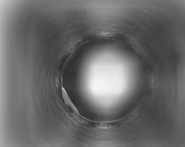 X0000080150746200612221948