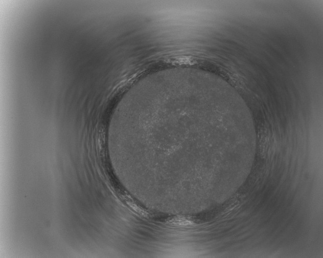 X0000080150747200612221948