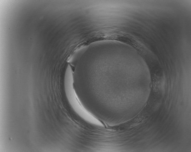 X0000080150748200612221948