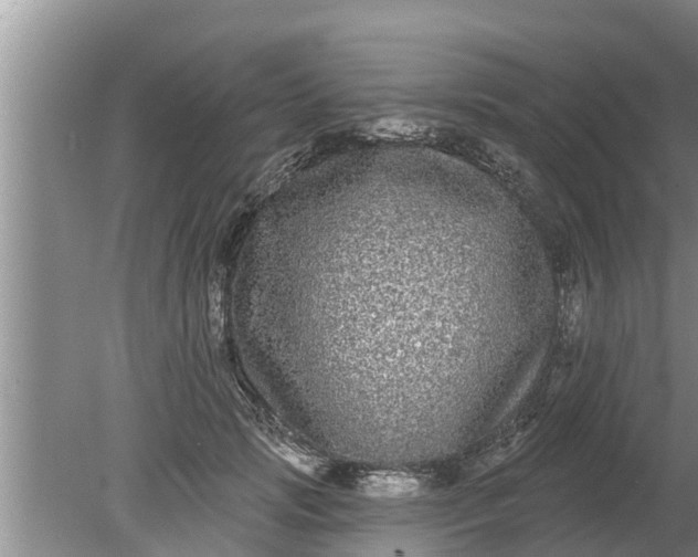 X0000080150749200612221948