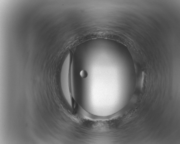 X0000080150750200612221949