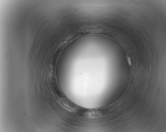 X0000080150752200612221949