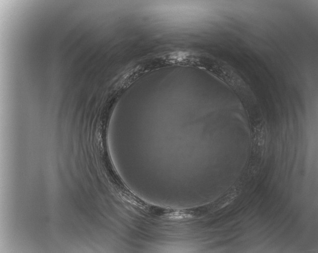 X0000080150754200612221949