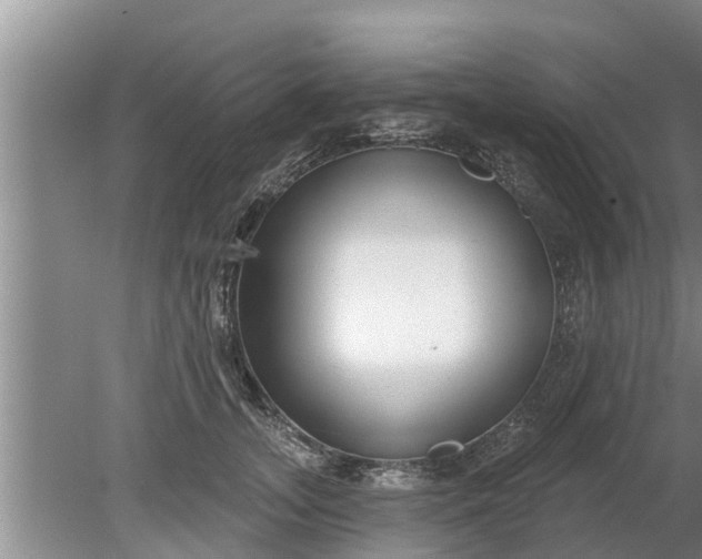 X0000080150755200612221949