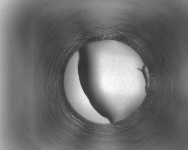 X0000080150756200612221949