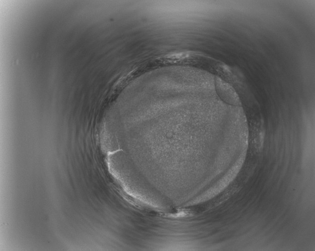 X0000080150758200612221949