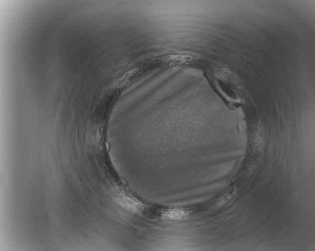 X0000080150759200612221949