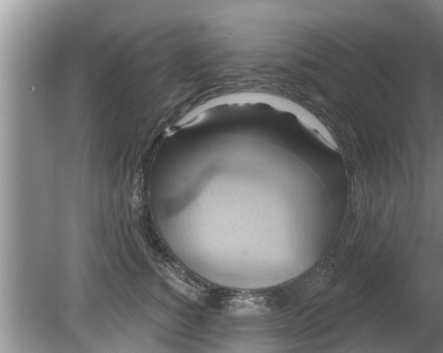 X0000080150760200612221949