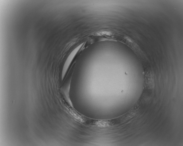 X0000080150762200612221949