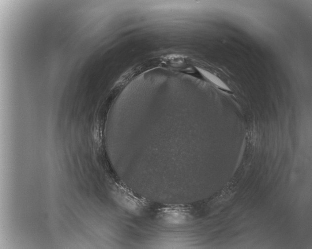 X0000080150763200612221949